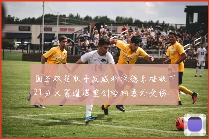 国王双星联手发威科沃德乐福砍下21分火箭遭遇重创哈珀意外受伤
