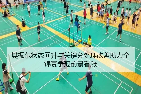 樊振东状态回升与关键分处理改善助力全锦赛争冠前景看涨